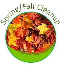 Spring / Fall Cleanup
